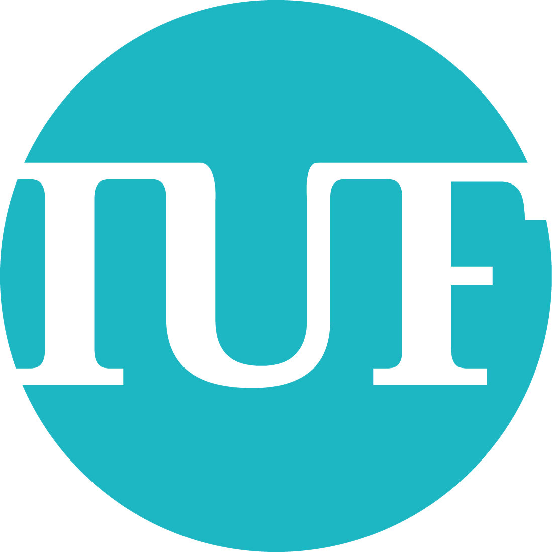 Institut Universitaire de France